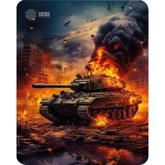 CACTUS Burning tank 300x250x3мм (CS-MP-D04M)
