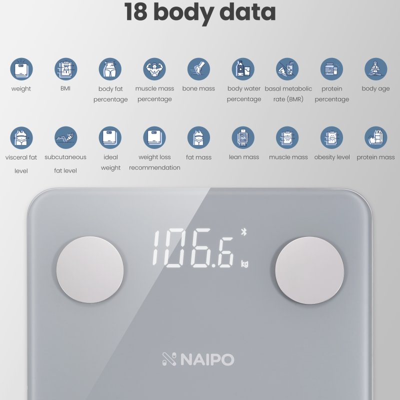 NAIPO NP-BS01