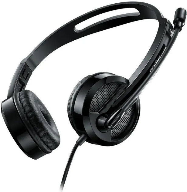 RAPOO H100 черный (H100)