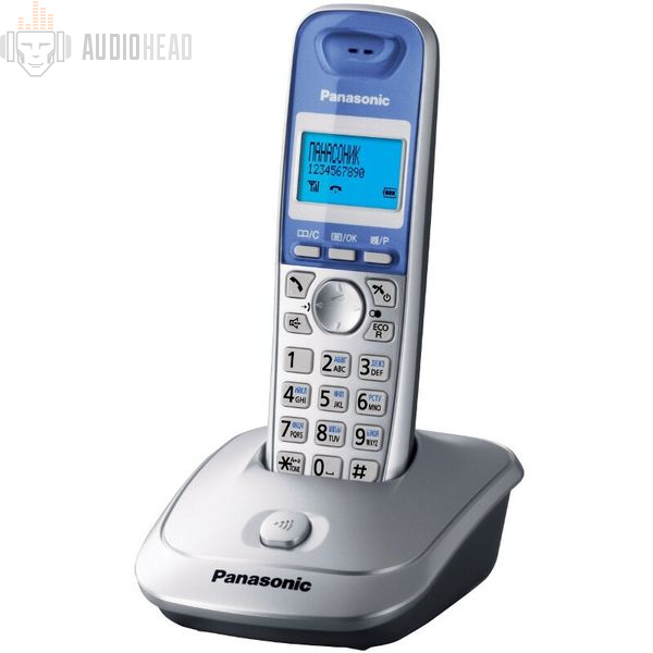 Panasonic KX-TG2511 RUS Silver