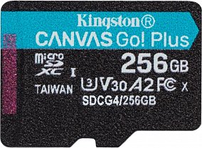 Kingston Canvas Go Plus microSDXC 256Gb SDCG4/256GBSP